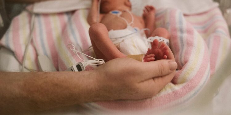 গর্ভাবস্থা