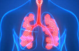 ফুসফুসের দীর্ঘমেয়াদি রোগ সিওপিডি