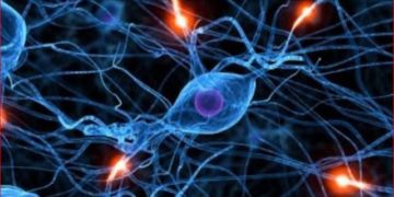 হরমোন কী? এর ভারসাম্যহীনতার লক্ষন, কারন এবং প্রতিকার