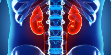 কোমরে ব্যথা মানেই কি কিডনির সমস্যা ?