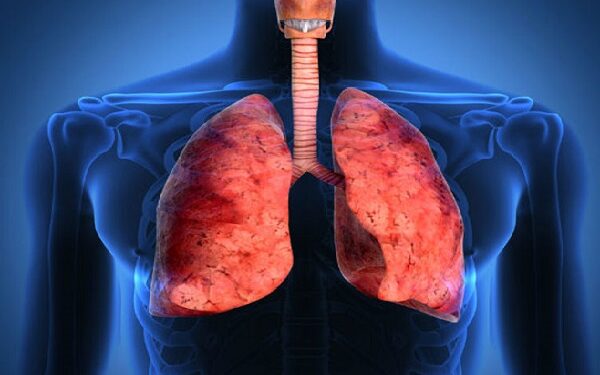 দেশে যক্ষ্মা রোগীদের মধ্যে ১২ জনের এইডস