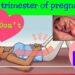 গর্ভাবস্থার তৃতীয় মাসে যা করবেন,যা করবেননা !