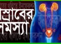 ইউরিন ইনফেকশন | প্রসাবে সমস্যার কারণ লক্ষণ ও চিকিৎসা কি?