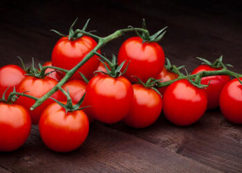 পাকস্থলী ক্যান্সারের ঝুঁকি প্রতিরোধে টমেটো
