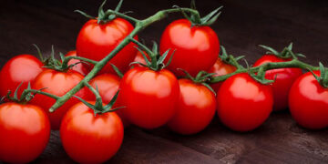 পাকস্থলী ক্যান্সারের ঝুঁকি প্রতিরোধে টমেটো