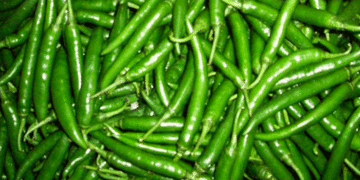 ক্যানসারসহ নানা রোগের উপশম করে কাঁচামরিচ