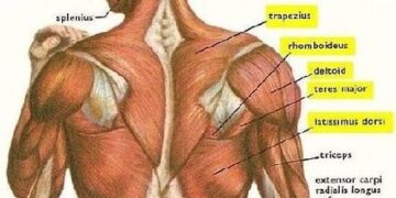 হঠাৎ মাংসপেশিতে টান ধরলে করণীয় !!