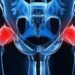 নিতম্বের জয়েন্ট-এ ব্যথা (Hip Joint Pain)