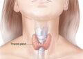 থাইরয়েড হরমোন বাড়লেই বা কি , আর কমলেই বা কি ?