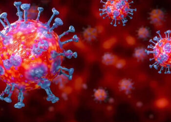 জল বসন্তের মতো ছড়িয়ে পড়তে পারে ডেল্টা: সিডিসি