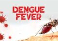 একদিনে ঢাকায় আরও ৪৮ ডেঙ্গু রোগী