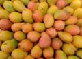আম খাওয়ার পর যে খাবারগুলো খাবেন না