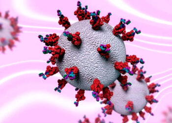 ২৪ ঘণ্টায় করোনায় মৃত্যু ১, শনাক্ত ৮ জন