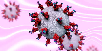 ২৪ ঘণ্টায় করোনায় মৃত্যু ১, শনাক্ত ৮ জন