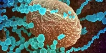 Delta Covid variant becoming globally dominant, WHO official says
