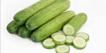 গুণাগুণে ভরপুর শসা