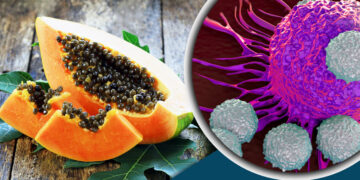 ক্যান্সার প্রতিরোধী, ডায়াবেটিস রোগেও উপকারী পেঁপের বীজ