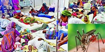 ডেঙ্গুতে আরও ৪ জনের মৃত্যু, হাসপাতালে ভর্তি ৮৯৬