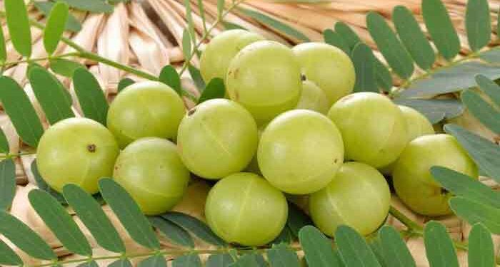 যাদের আমলকী এড়িয়ে চলতে হবে