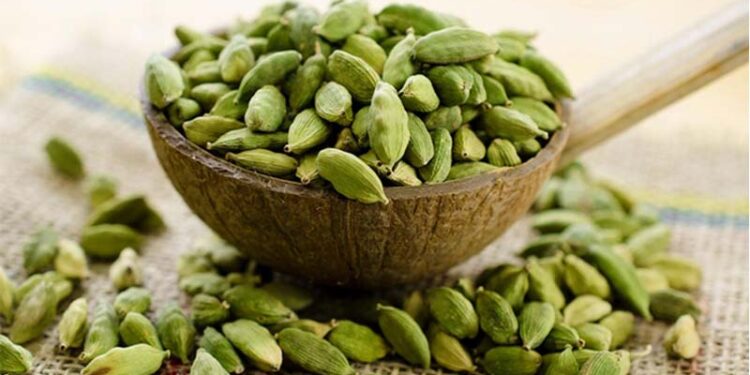 এলাচ দূর করবে ৮টি স্বাস্থ্য সমস্যা