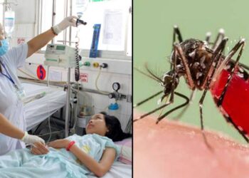 ডেঙ্গুতে হাসপাতালে ভর্তি আরও ৬০ জন