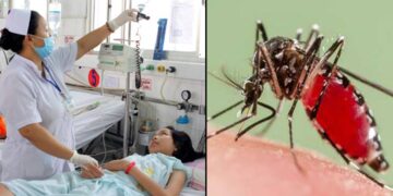 ডেঙ্গু: সাত চিহ্ন দেখা দিলে অবশ্যই সতর্ক হবেন