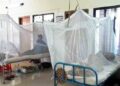 আরো ৭৭ ডেঙ্গু রোগী হাসপাতালে ভর্তি
