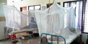আরো ৭৭ ডেঙ্গু রোগী হাসপাতালে ভর্তি