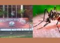ময়মনসিংহে বাড়ছে ডেঙ্গু রোগীর সংখ্যা