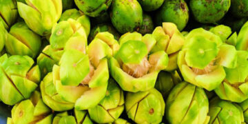 আমড়া খান, রোগ প্রতিরোধ ক্ষমতা বাড়ান