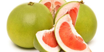 জানুন জাম্বুরার যত গুনাগুন