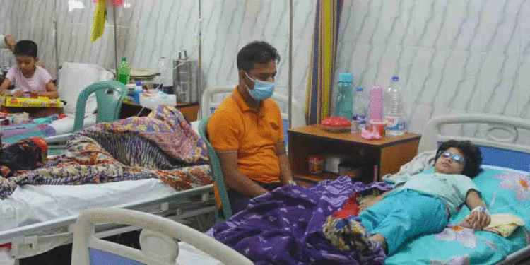 ডেঙ্গু নিয়ে আরও ২৫৫ জন হাসপাতালে ভর্তি