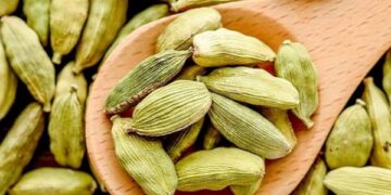 এলাচ রক্তের ঘনত্বকে ঠিক রাখে