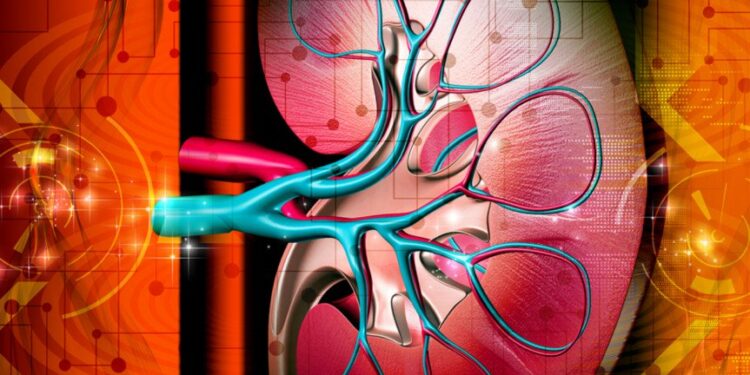 কোলেস্টেরল বাড়ছে, জানুন ৩ লক্ষণে