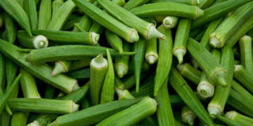 কিডনী,ক্যান্সার,ডায়াবেটিস,ওজন নিয়ন্ত্রণে ঢেঁড়স