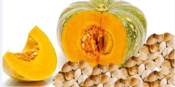 পুষ্টিগুণে অনন্য মিষ্টি কুমড়া