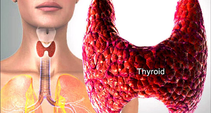 থাইরয়েড পরীক্ষা জরুরি বুঝবেন যেভাবে-