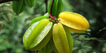 বয়সের ছাপ দূর করে কামরাঙা