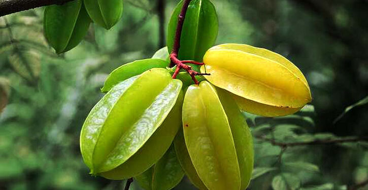 বয়সের ছাপ দূর করে কামরাঙা