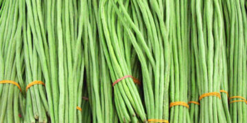 বরবটির ৬টি চমৎকার স্বাস্থ্য উপকারিতা