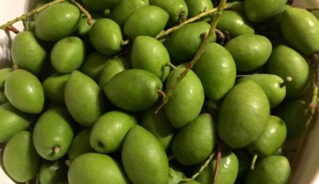 শরীরের জন্য জলপাই এর নানাবিধ উপকার