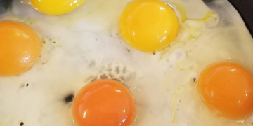পুষ্টিকর ডিম বুঝবেন কুসুমের রং দেখে