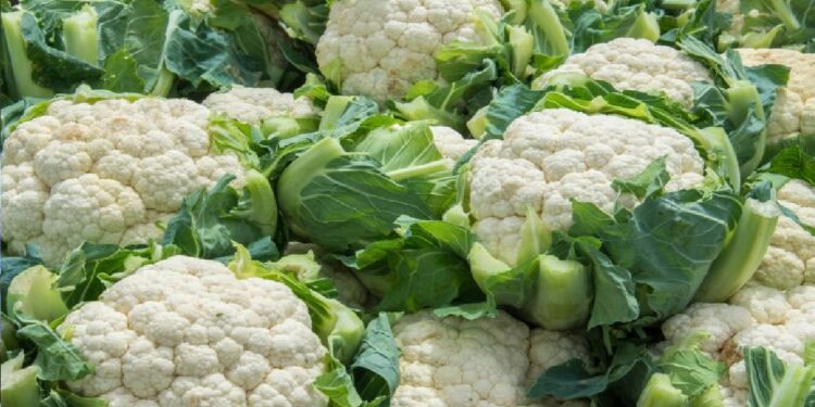 দৃষ্টিশক্তি বাড়াতে, ক্যানসার প্রতিরোধে শীতকালীন সবজি ফুলকপি