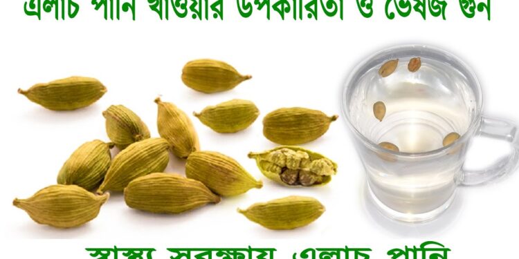 ১৩ রোগের সমাধান এলাচ ভেজানো পানিতে !