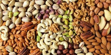 বাদাম হলো সুস্বাস্থ্যের অন্যতম বন্ধু