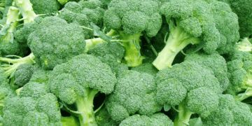 আয়রন ও ক্যালসিয়ামে ভরপুর শীতের সবজি ব্রোকলি