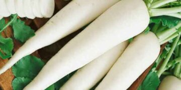 লিভার ও পাকস্থলীর জন্য দারুণ উপকারী মুলা