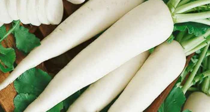 লিভার ও পাকস্থলীর জন্য দারুণ উপকারী মুলা