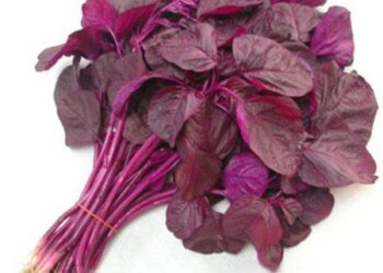 রক্তশূন্যতা,ডায়াবেটিস নিয়ন্ত্রণে লাল শাক