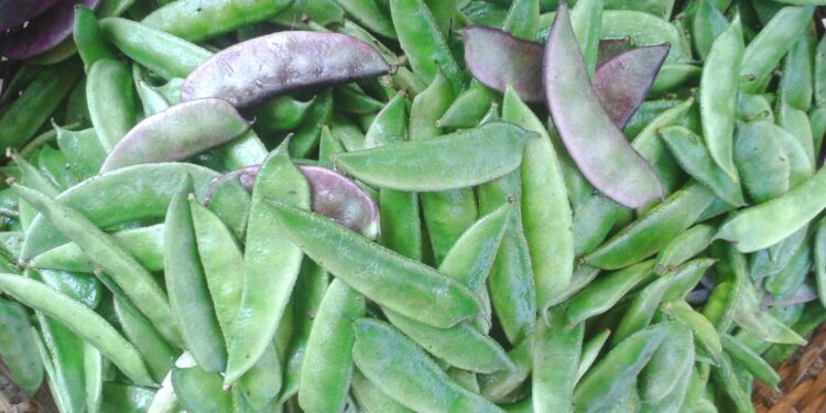 কোষ্ঠকাঠিন্য,কোলেস্টেরল কমাতে সহায়ক শিম